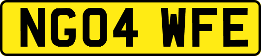 NG04WFE