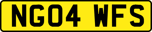 NG04WFS