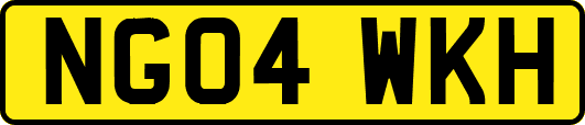 NG04WKH