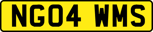 NG04WMS