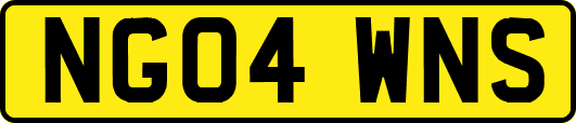 NG04WNS