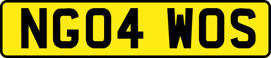 NG04WOS