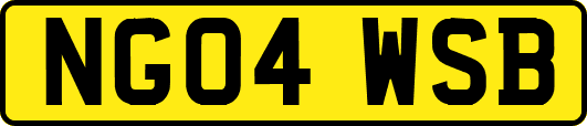 NG04WSB