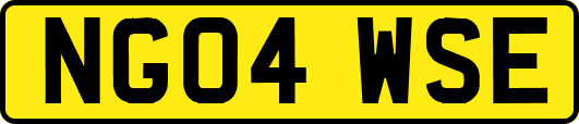 NG04WSE