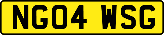 NG04WSG