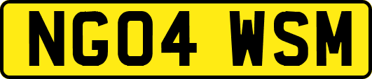 NG04WSM