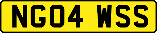 NG04WSS