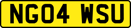NG04WSU