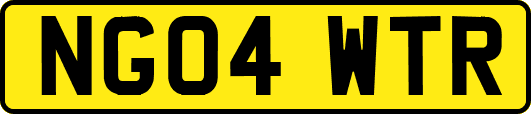 NG04WTR