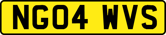NG04WVS