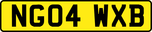 NG04WXB