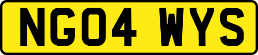NG04WYS