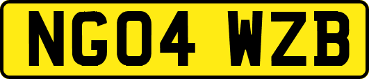 NG04WZB