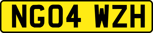 NG04WZH