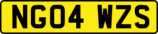 NG04WZS