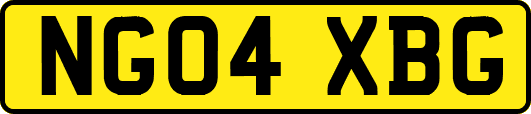 NG04XBG