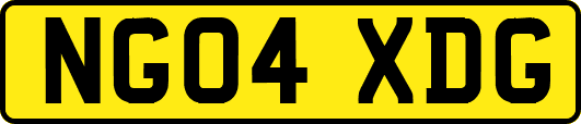NG04XDG