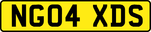 NG04XDS