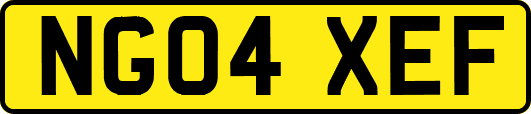 NG04XEF