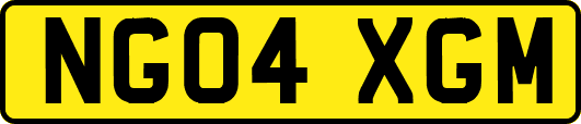 NG04XGM