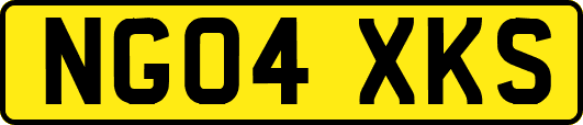 NG04XKS