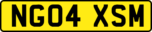 NG04XSM