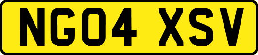 NG04XSV