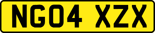 NG04XZX