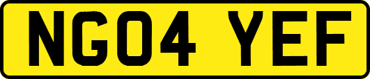NG04YEF