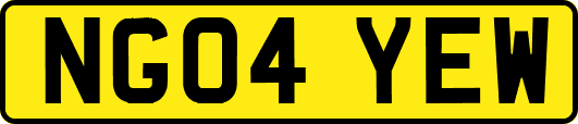 NG04YEW