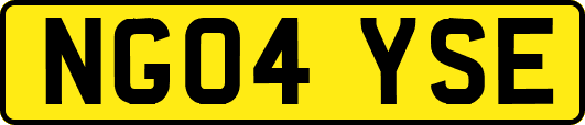 NG04YSE