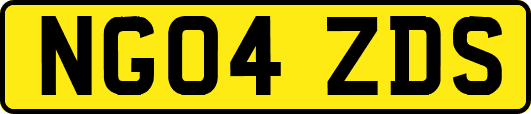 NG04ZDS