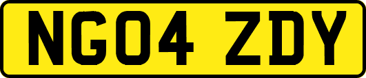 NG04ZDY