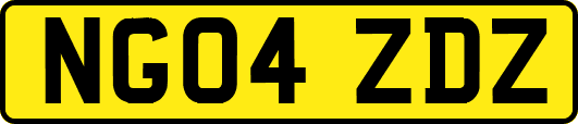 NG04ZDZ