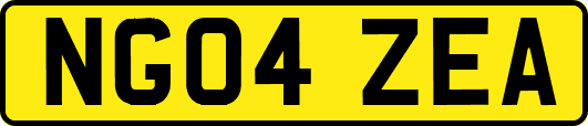 NG04ZEA