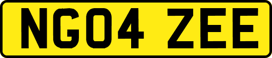 NG04ZEE