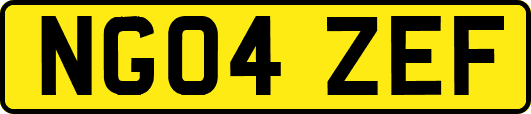 NG04ZEF