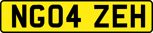 NG04ZEH