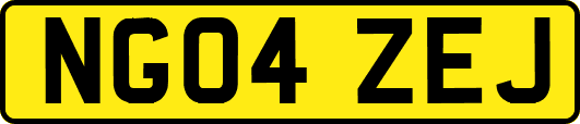 NG04ZEJ