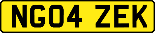 NG04ZEK