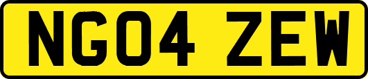 NG04ZEW