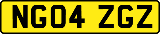 NG04ZGZ