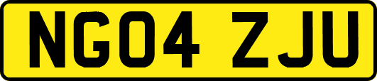 NG04ZJU
