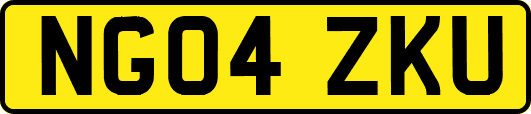 NG04ZKU
