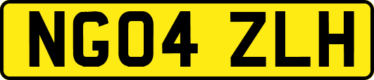 NG04ZLH