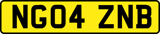 NG04ZNB
