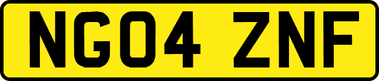 NG04ZNF