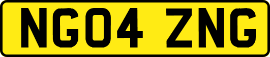 NG04ZNG