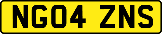 NG04ZNS