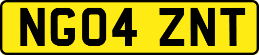 NG04ZNT